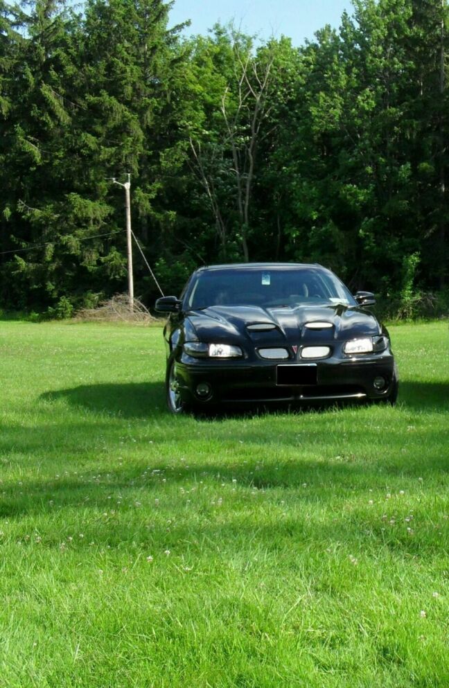 Field