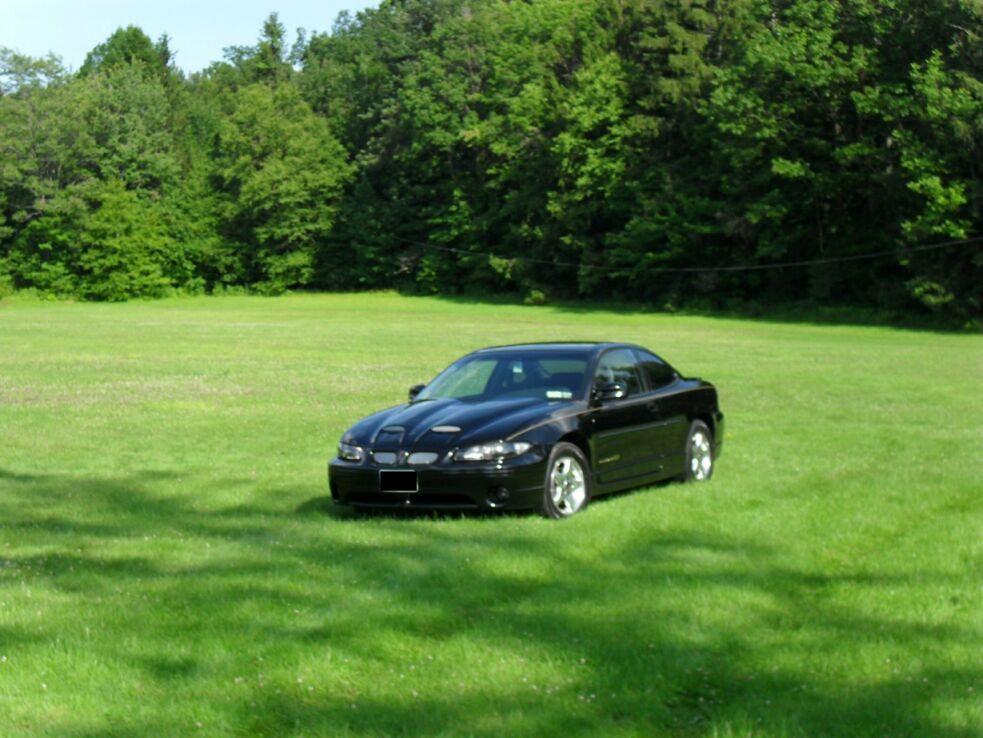 Field