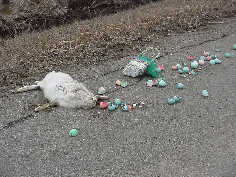 Sorry Easter Bunny