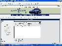 The Website bug?
